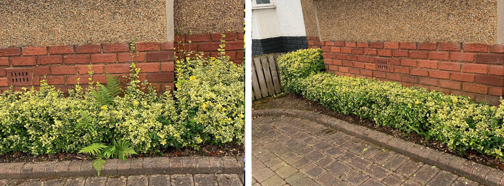 The Wee Weeder | Gardening Services