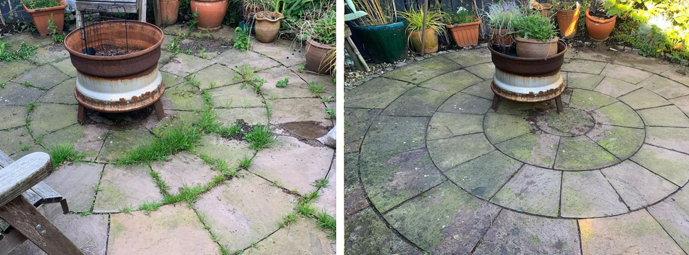 The Wee Weeder | Gardening Services