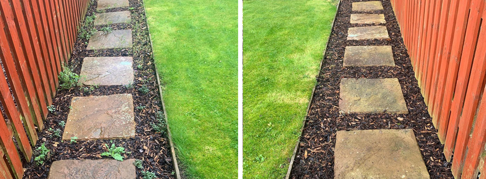 The Wee Weeder | Gardening Services
